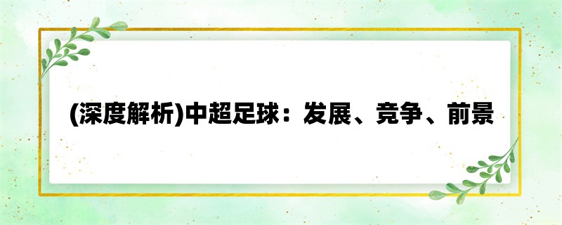 (深度解析)中超足球：发展、竞争、前景