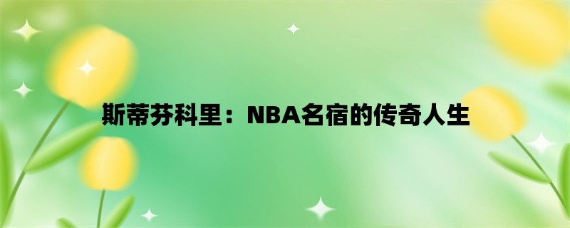 斯蒂芬科里：NBA名宿的传