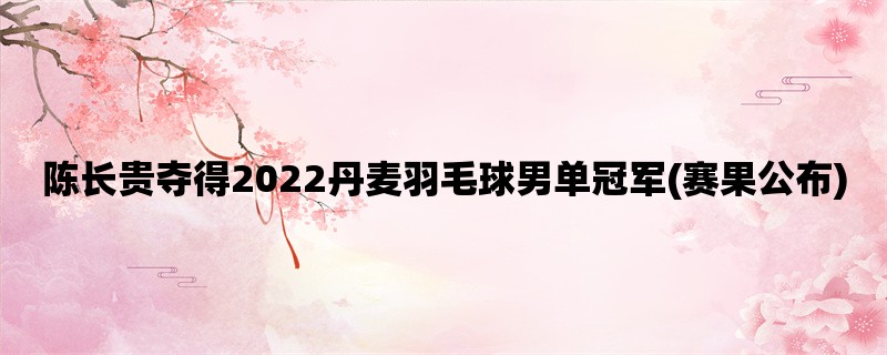 陈长贵夺得2022丹麦羽毛球男单冠军(赛果公布)