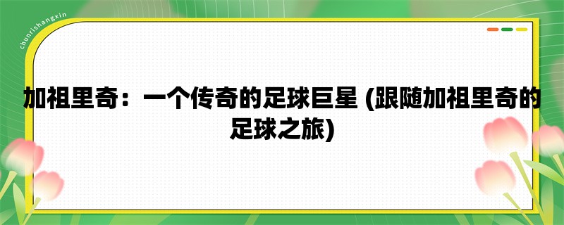 加祖里奇：一个传奇的足球巨星 (跟随加祖里奇的足球之旅)