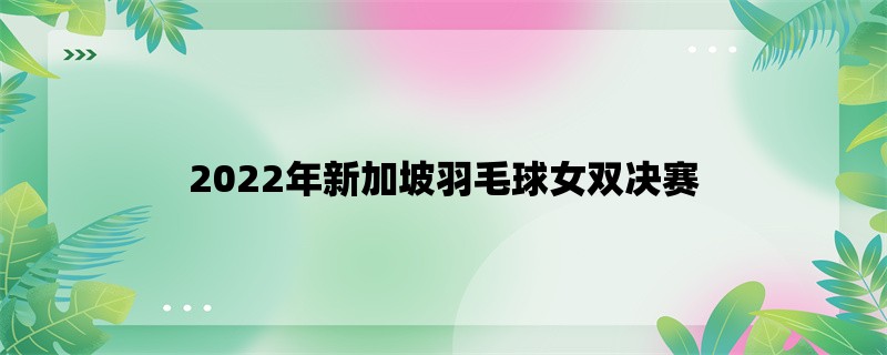 2022年新加坡羽毛球女双决赛