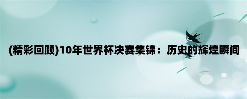 (精彩回顾)10年世界杯决