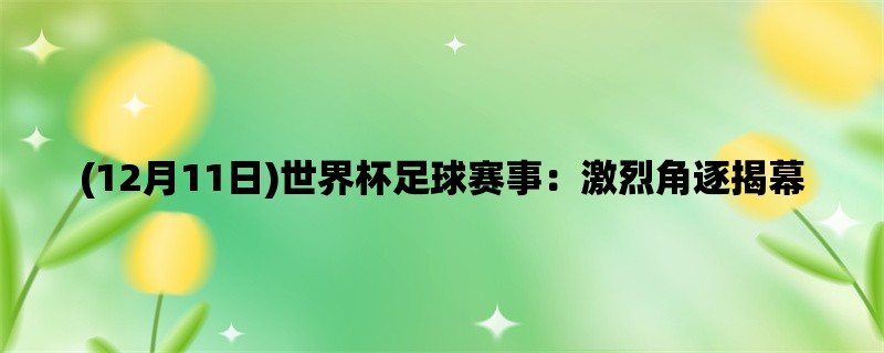 (12月11日)世界杯足球赛事：激烈角逐揭幕