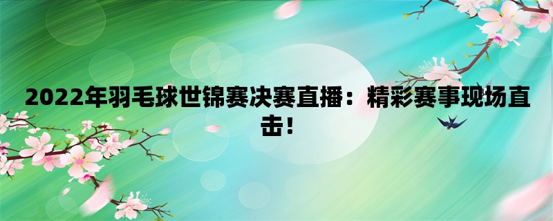 2022年羽毛球世锦赛决赛直播：精彩赛事现场直击！