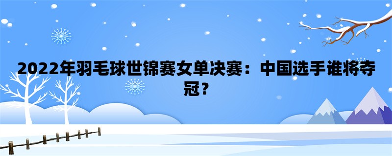 2022年羽毛球世锦赛女单