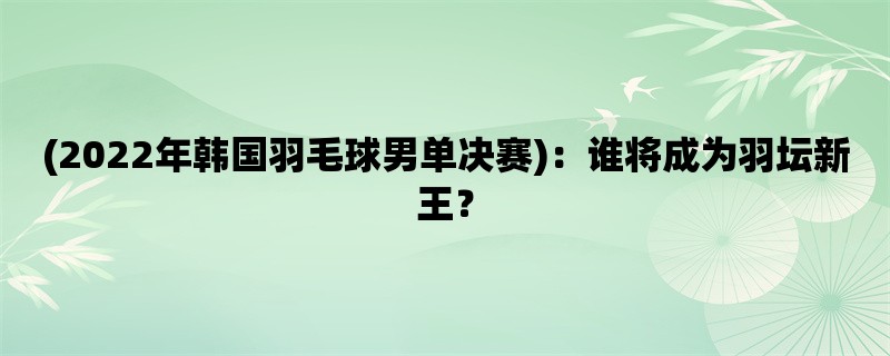 (2022年韩国羽毛球男单决