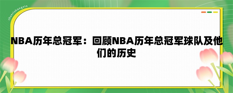 NBA历年总冠军：回顾NB