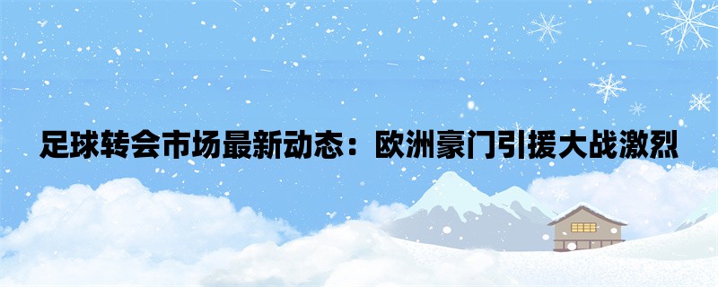 足球转会市场最新动态：