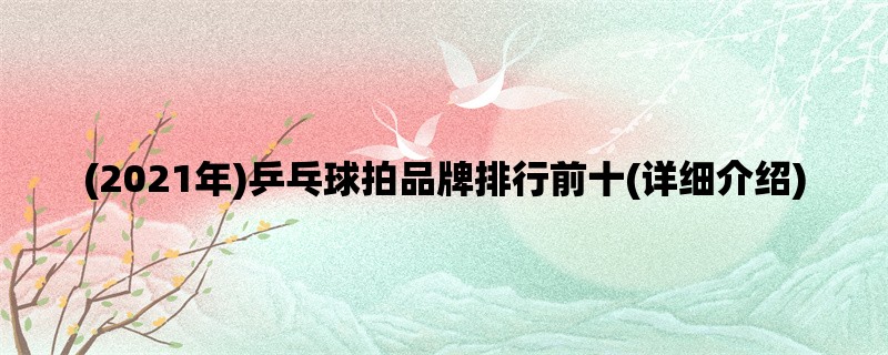 (2021年)乒乓球拍品牌排行前十(详细介绍)