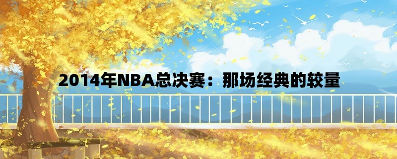 2014年NBA总决赛：那场经