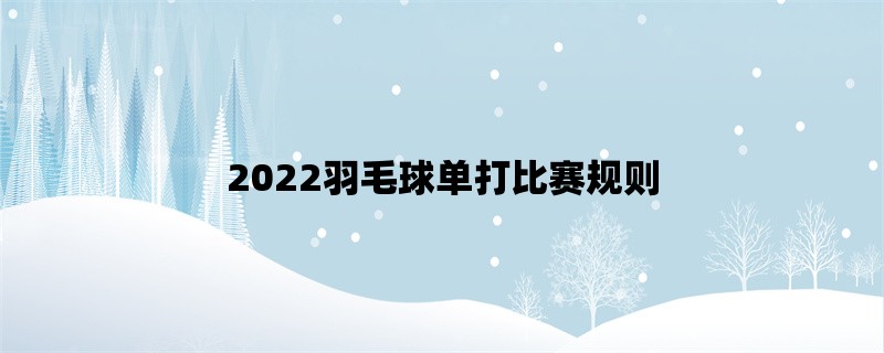 2022羽毛球单打比赛规则