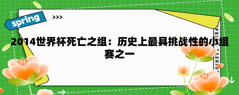 2014世界杯死亡之组：历