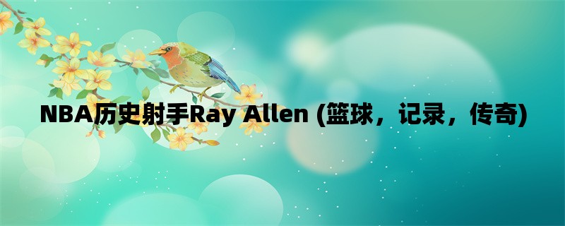 NBA历史射手Ray Allen (篮球