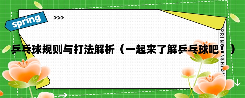 乒乓球规则与打法解析（