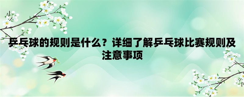 乒乓球的规则是什么？详