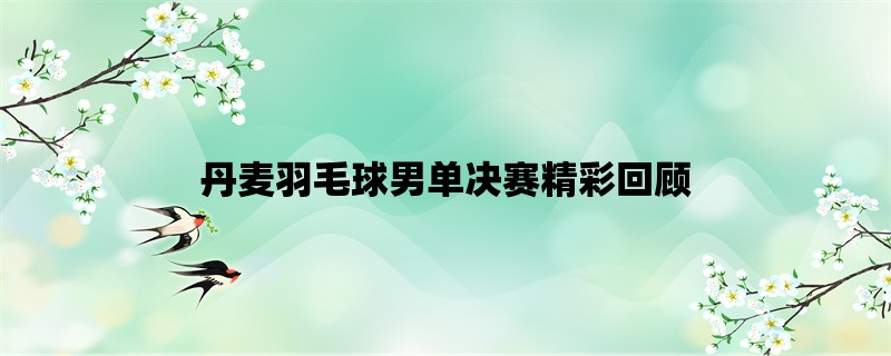 丹麦羽毛球男单决赛精彩回顾