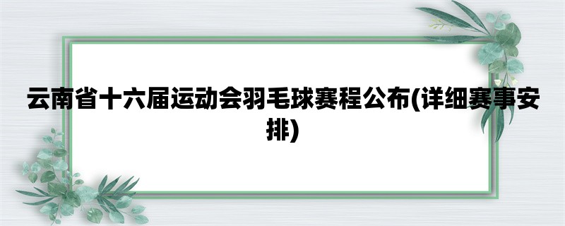 云南省十六届运动会羽毛