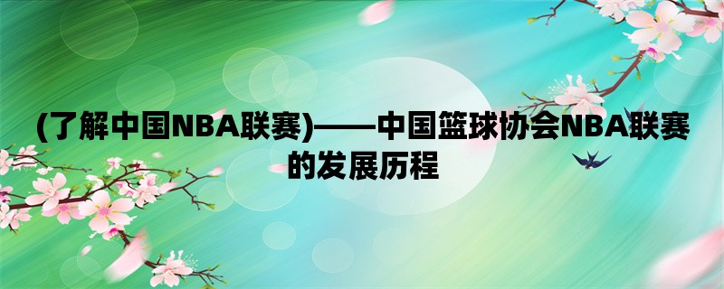 (了解中国NBA联赛)，中国篮球协会NBA联赛的发展历程