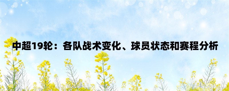 中超19轮：各队战术变化