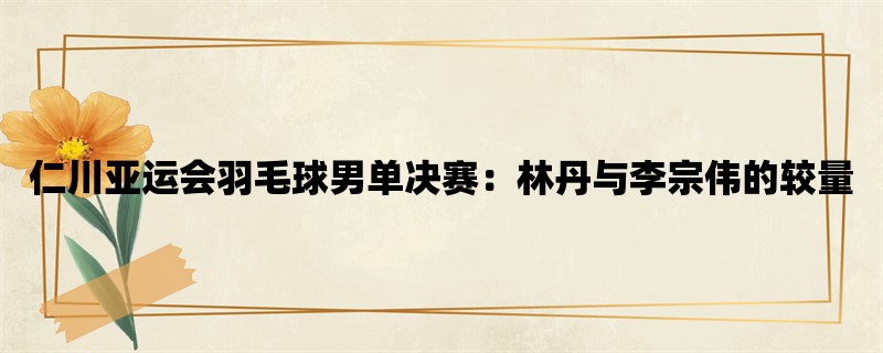 仁川亚运会羽毛球男单决赛：林丹与李宗伟的较量