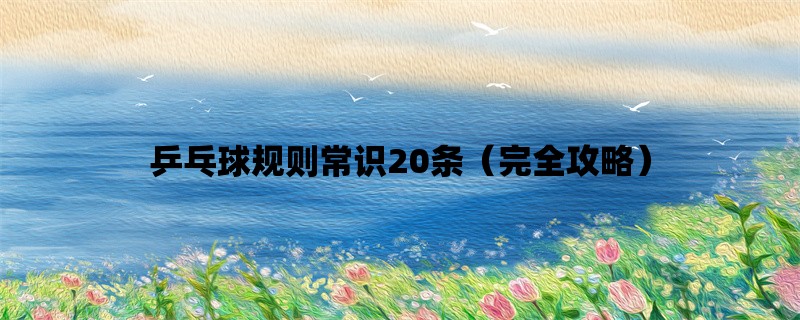 乒乓球规则常识20条（完全攻略）