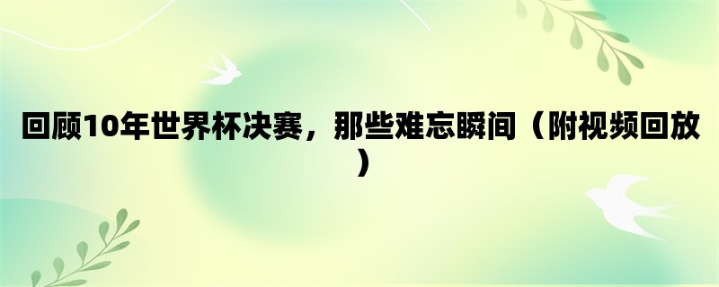 回顾10年世界杯决赛，那