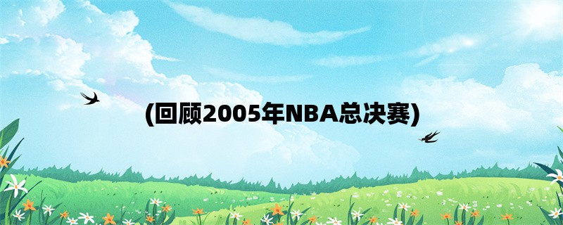 (回顾2005年NBA总决赛)