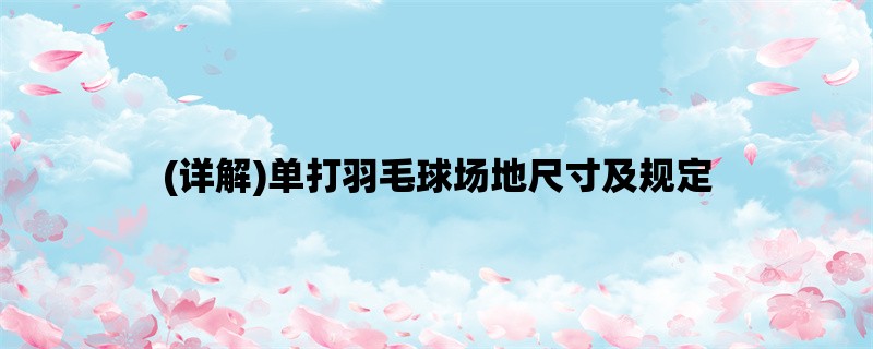 (详解)单打羽毛球场地尺寸及规定