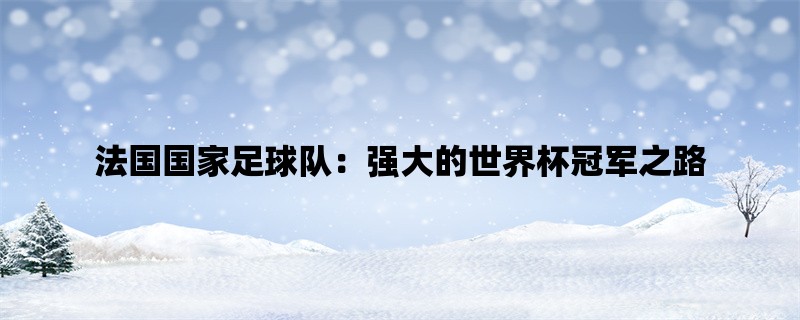 法国国家足球队：强大的世界杯冠军之路