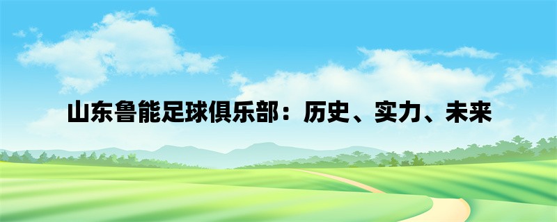 山东鲁能足球俱乐部：历史、实力、未来