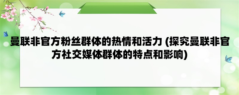 曼联非官方粉丝群体的热