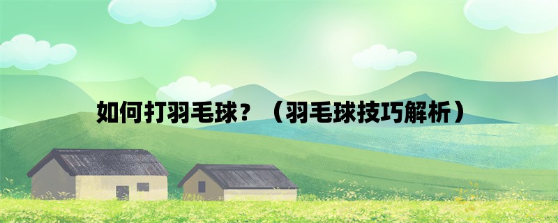 如何打羽毛球？（羽毛球