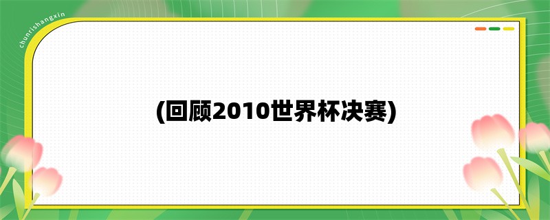 (回顾2010世界杯决赛)