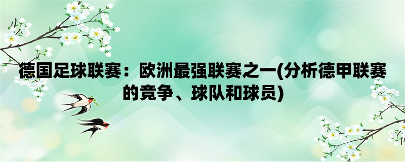 德国足球联赛：欧洲最强