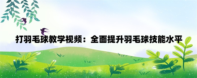 打羽毛球教学视频：全面