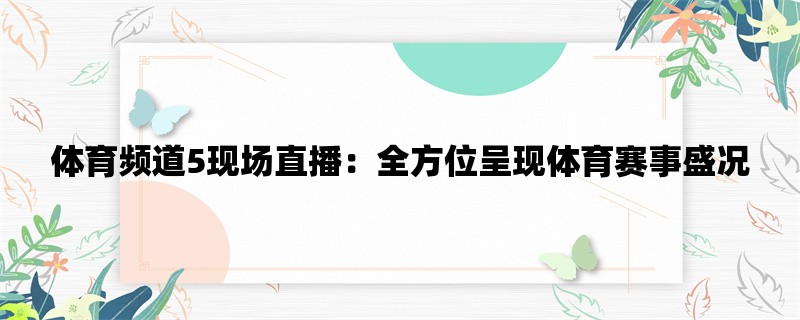 体育频道5现场直播：全方位呈现体育赛事盛况