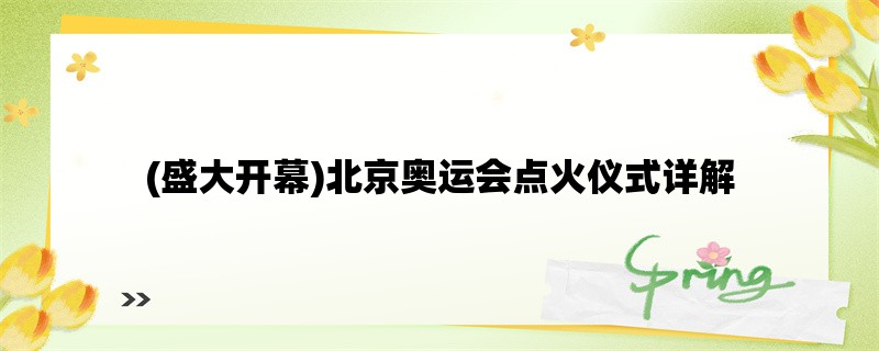 (盛大开幕)北京奥运会点