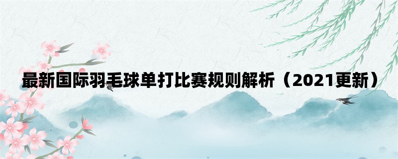 最新国际羽毛球单打比赛规则解析（2021更新）