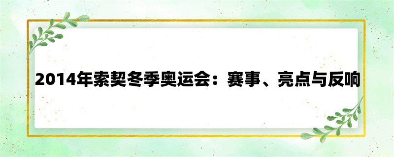 2014年索契冬季奥运会：赛事、亮点与反响