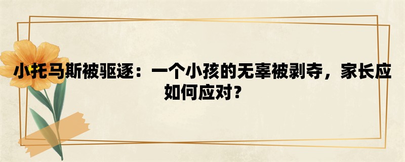 小托马斯被驱逐：一个小