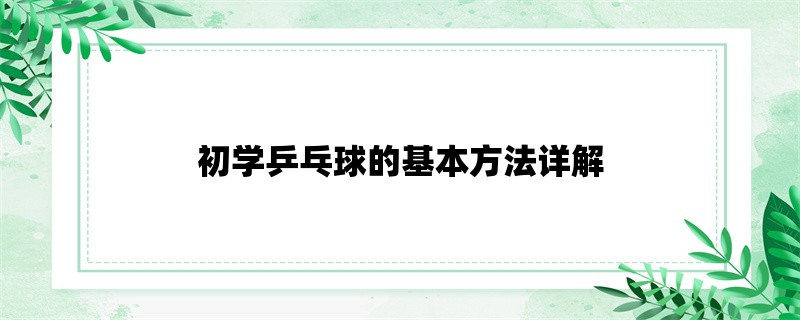 初学乒乓球的基本方法详解