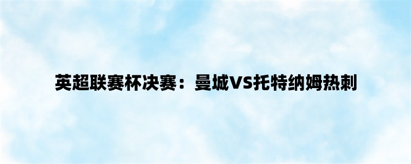 英超联赛杯决赛：曼城VS托特纳姆热刺