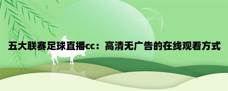 五大联赛足球直播cc：高