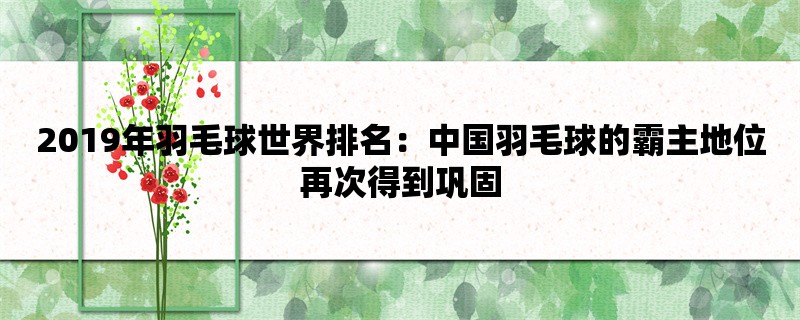 2019年羽毛球世界排名：