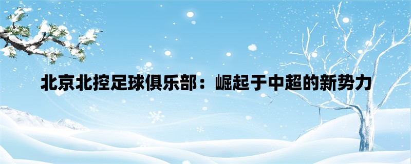 北京北控足球俱乐部：崛起于中超的新势力