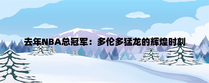 去年NBA总冠军：多伦多猛龙的辉煌时刻