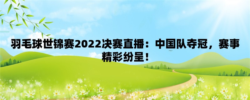 羽毛球世锦赛2022决赛直