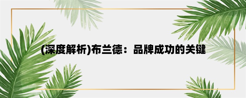 (深度解析)布兰德：品牌成功的关键