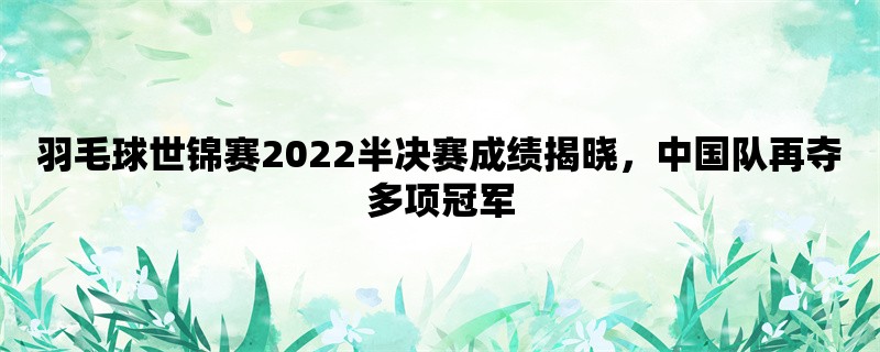 羽毛球世锦赛2022半决赛