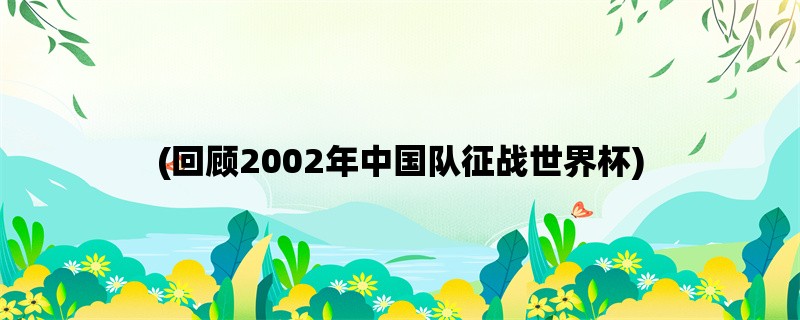 (回顾2002年中国队征战世界杯)